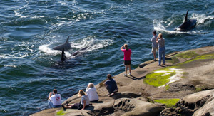 Saturna Island Marine Research & Education Society (SIMRES)